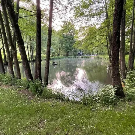 Quaint In Eimelrod Near And Water Sports * Willingen (Upland)