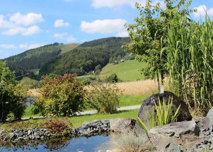 Quaint In Eimelrod Near And Water Sports * Willingen (Upland)